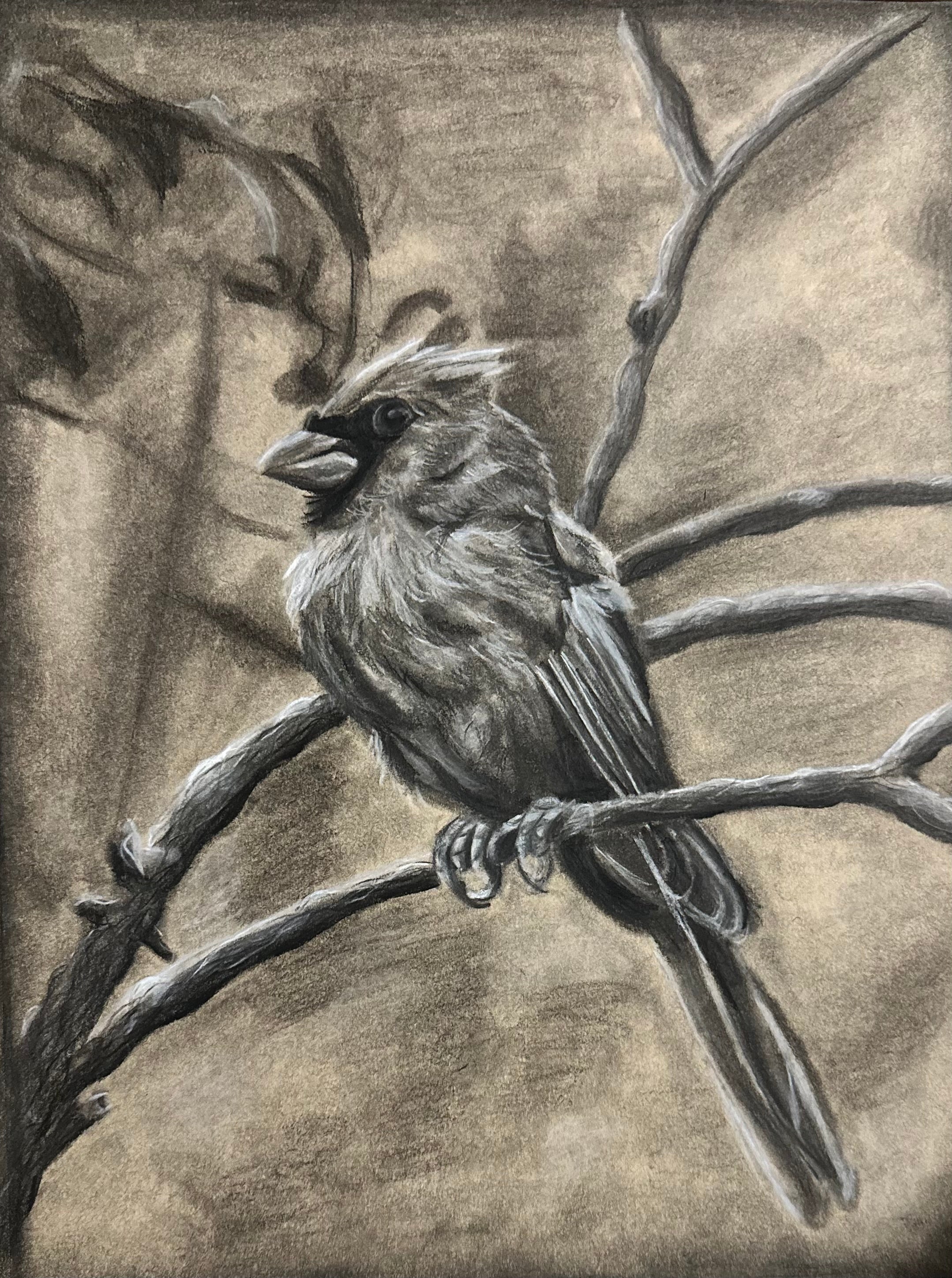 Cardinal Art Framed
