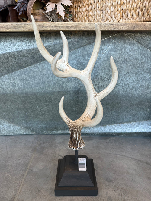 Antler Home Decor