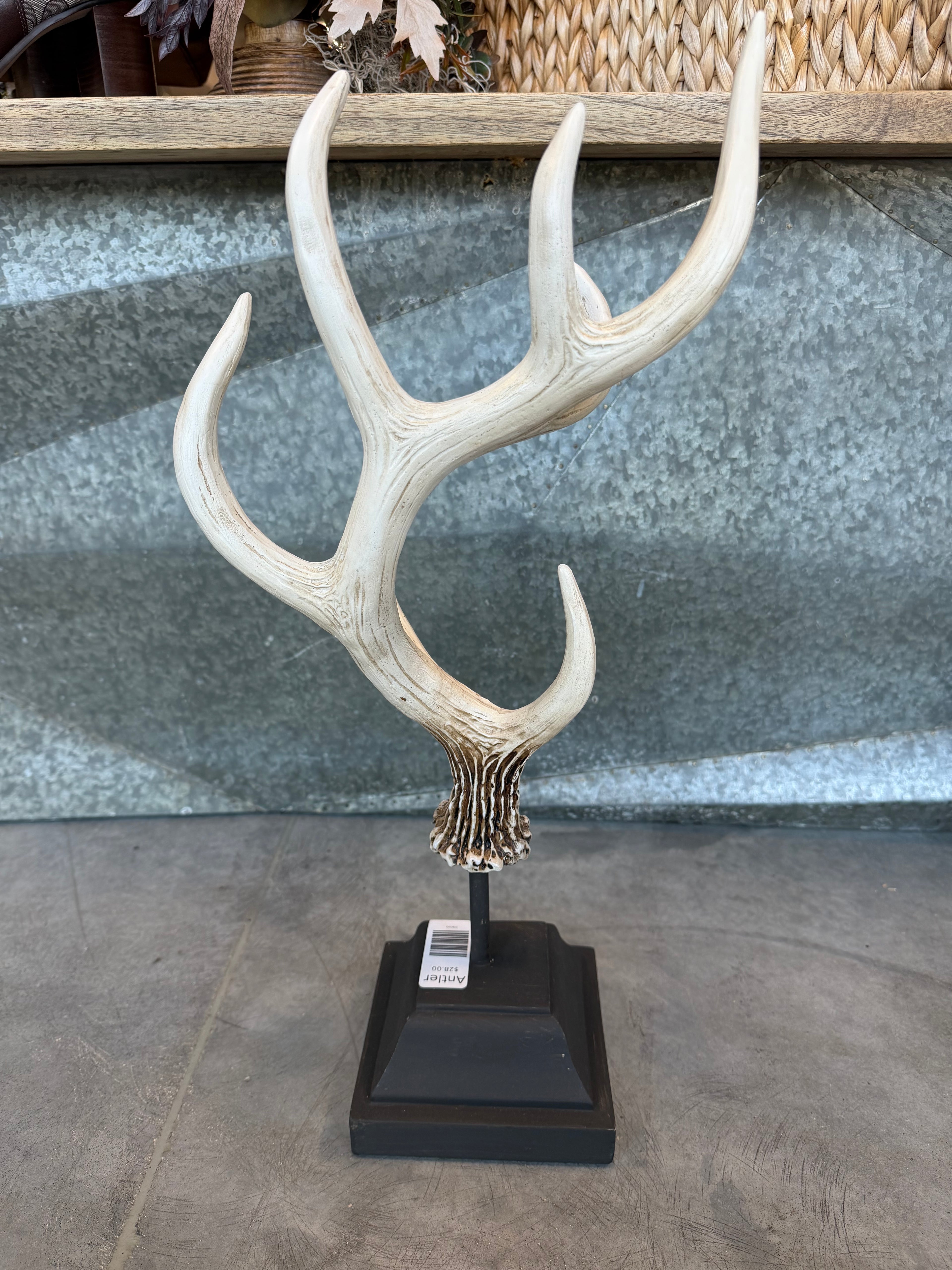 Antler Home Decor