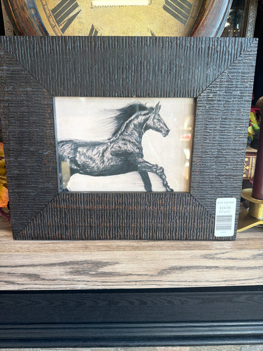 Wild Framed Art Print by Local Artist, 5x7 Wall Art